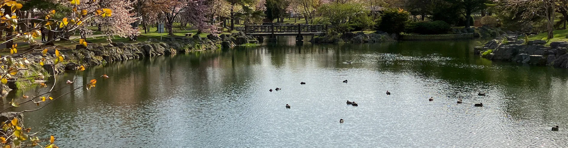 Spring scenery collection